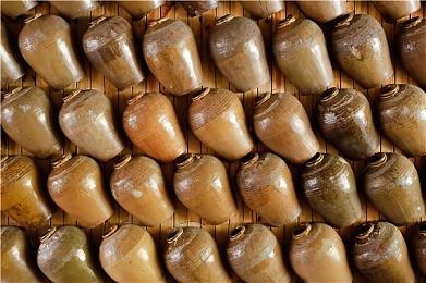 初次设置switch2主机时别犯这个错误